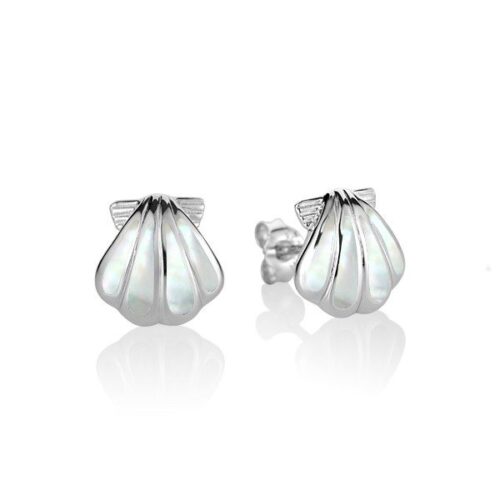 Elegant silver seashell-shaped stud earrings.